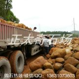 產(chǎn)地批發(fā)小規(guī)格的魚池假山黃蠟石、溪流石、駁