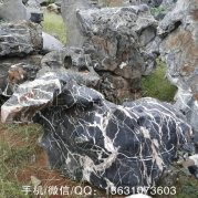 駁岸假山太湖石、造景奇石首選太湖石