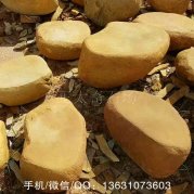 40-70的小規(guī)格平面黃蠟石打磨石草坪點(diǎn)綴景石