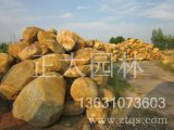 園林石場(chǎng)批發(fā)銷售黃蠟石